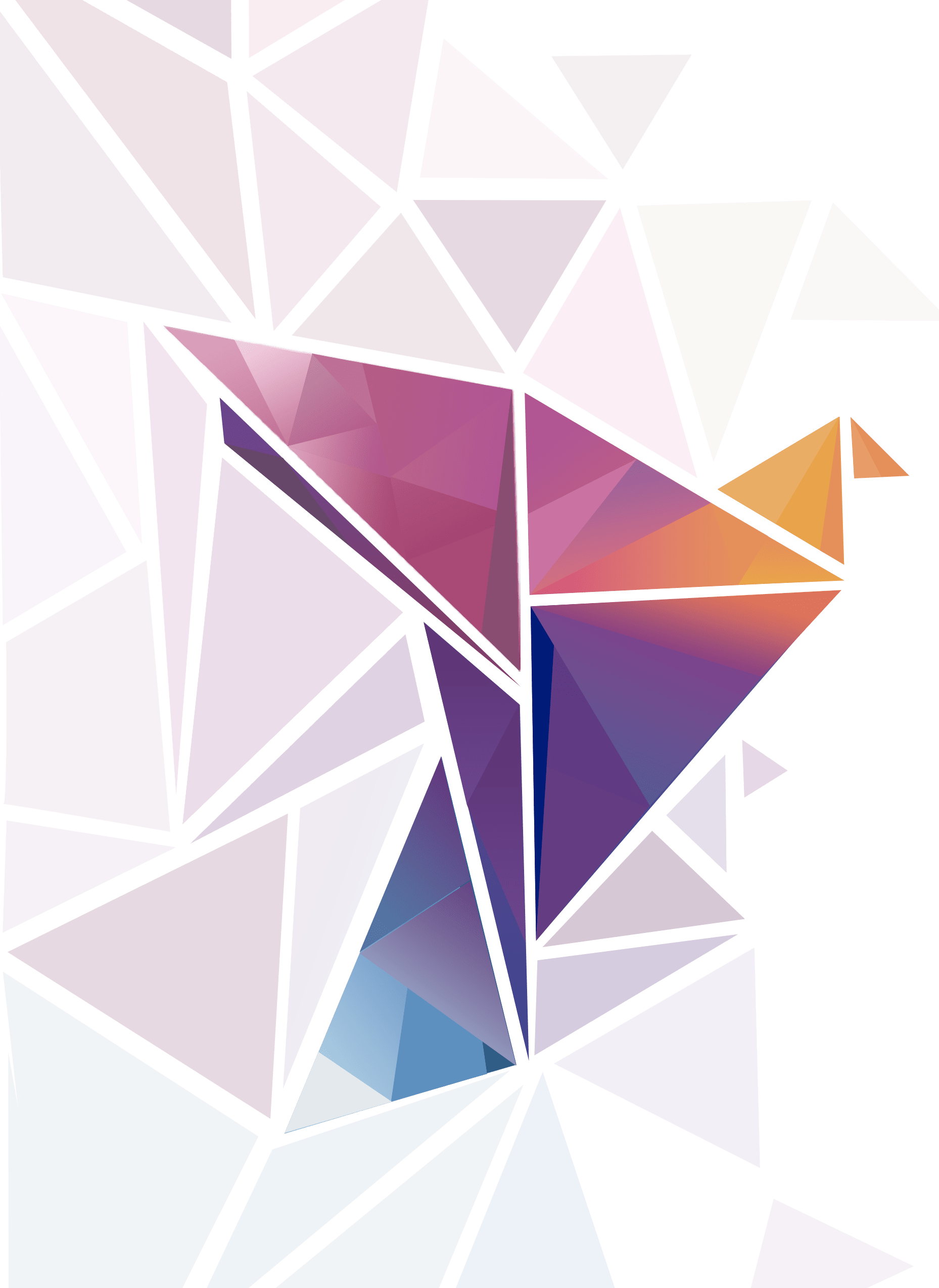 palomacedht